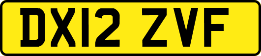 DX12ZVF