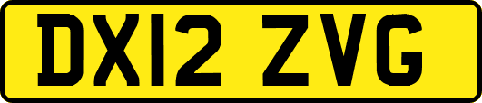 DX12ZVG