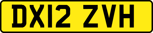 DX12ZVH