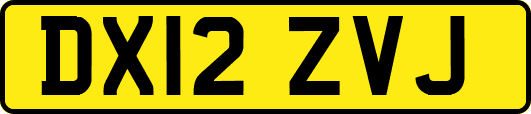 DX12ZVJ