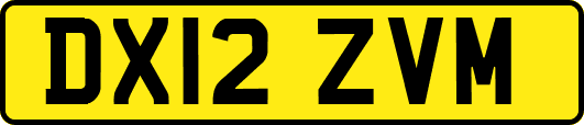 DX12ZVM