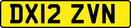 DX12ZVN