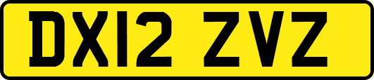 DX12ZVZ