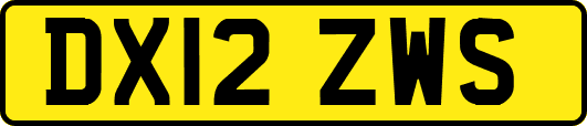 DX12ZWS