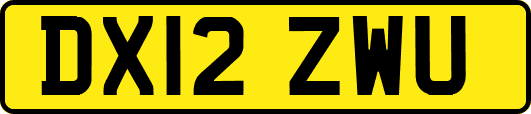 DX12ZWU