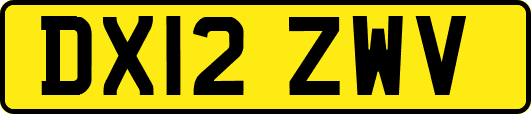 DX12ZWV