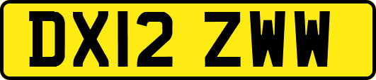 DX12ZWW