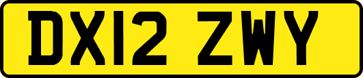 DX12ZWY