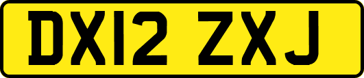 DX12ZXJ