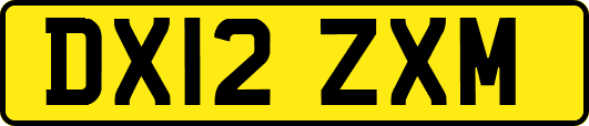 DX12ZXM
