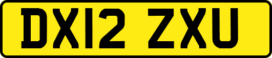 DX12ZXU