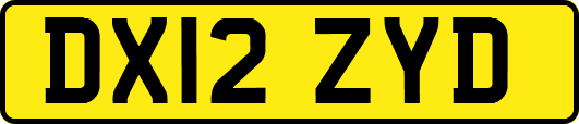 DX12ZYD
