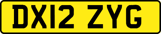 DX12ZYG