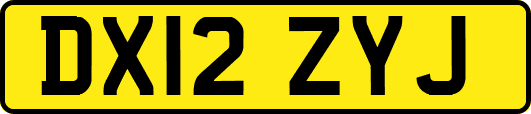 DX12ZYJ