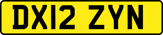 DX12ZYN