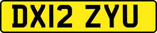 DX12ZYU