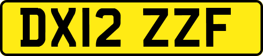 DX12ZZF