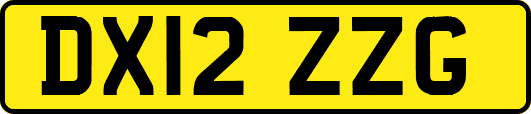 DX12ZZG