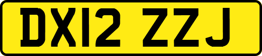 DX12ZZJ