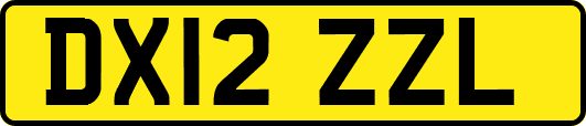 DX12ZZL