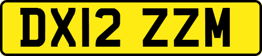 DX12ZZM