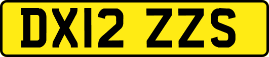 DX12ZZS