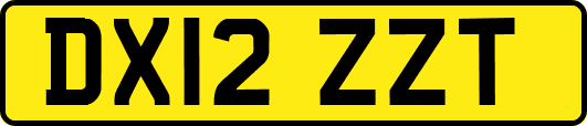 DX12ZZT
