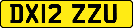 DX12ZZU