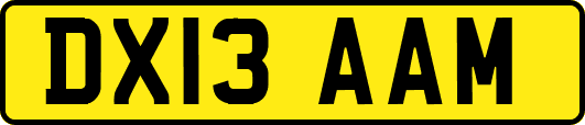 DX13AAM