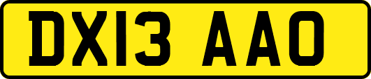 DX13AAO