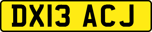 DX13ACJ