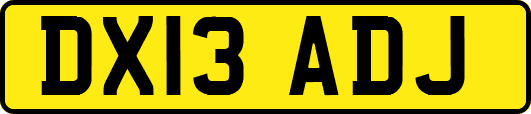 DX13ADJ