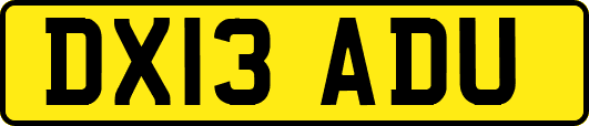 DX13ADU