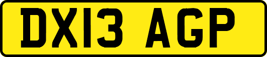 DX13AGP