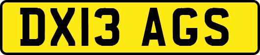 DX13AGS