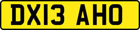DX13AHO