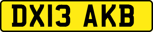 DX13AKB