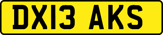 DX13AKS