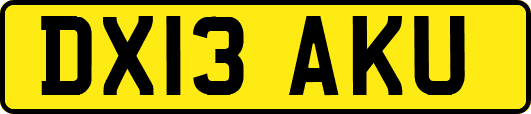 DX13AKU