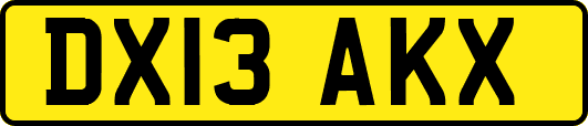 DX13AKX