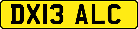 DX13ALC