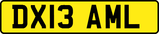 DX13AML