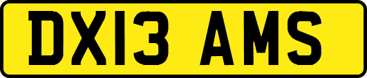DX13AMS