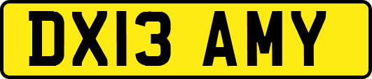 DX13AMY