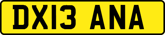 DX13ANA