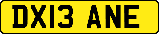 DX13ANE
