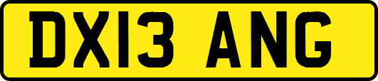 DX13ANG