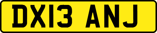 DX13ANJ