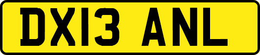 DX13ANL