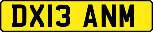 DX13ANM